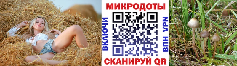 Псилоцибиновые грибы GOLDEN TEACHER  Разумное 